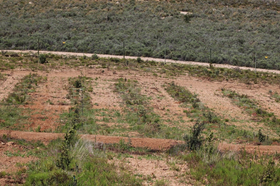 0 Bedroom Property for Sale in Uniondale Rural Western Cape